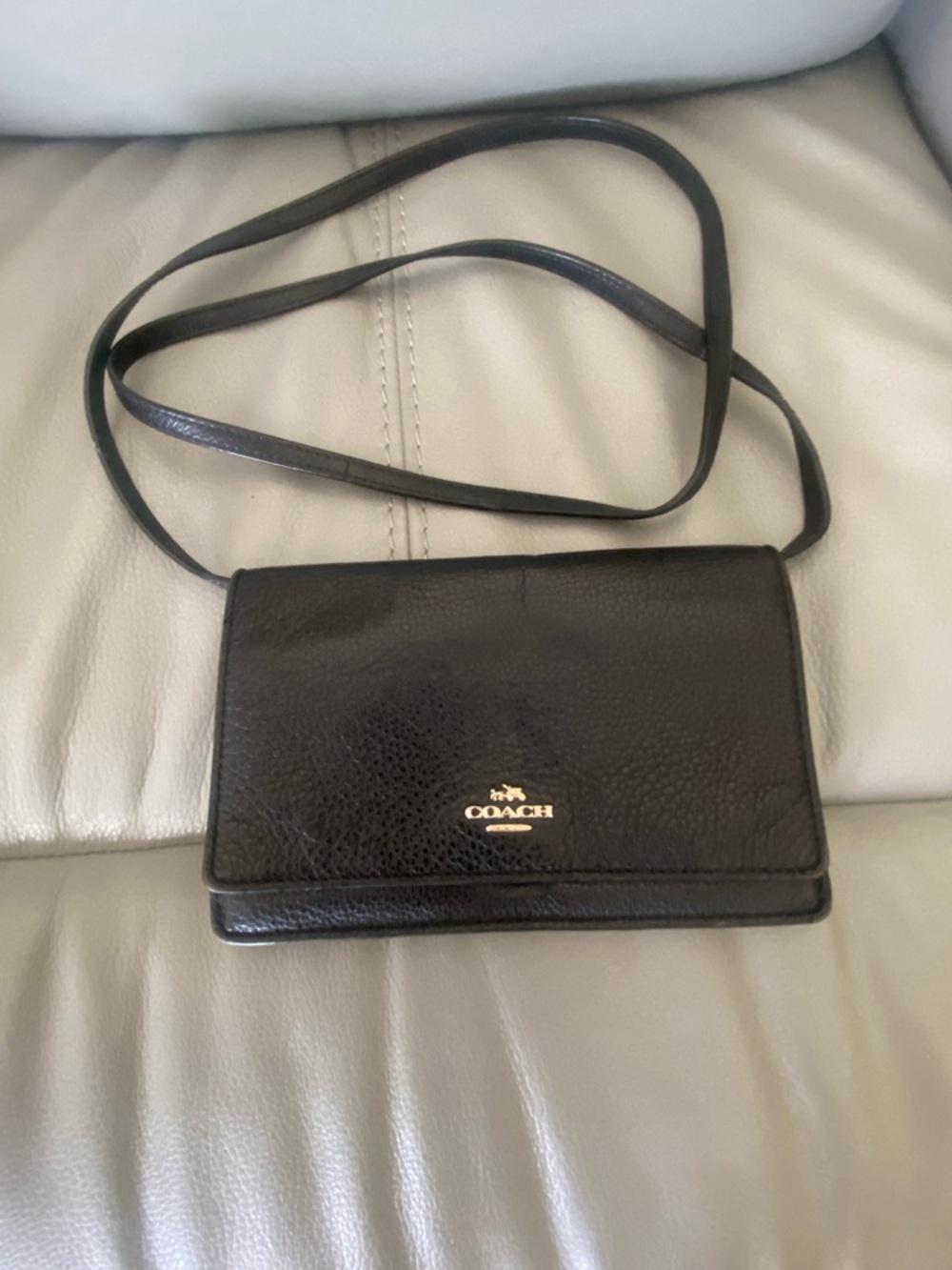 Coach Anna Foldover Crossbody clutch